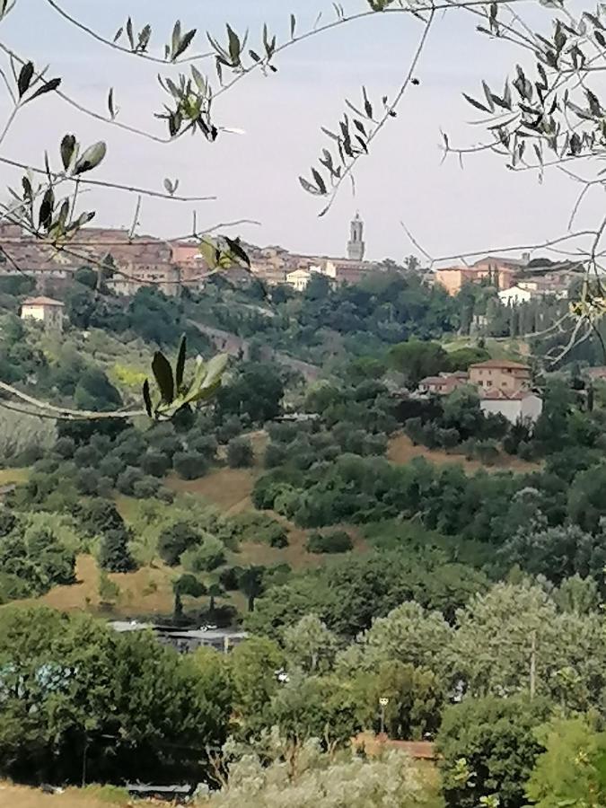 Apartamento Panorama Di *